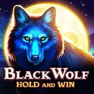 Black Wolf icon